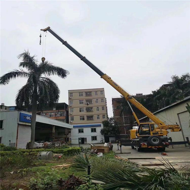 沂南汽车吊出租多少钱？全面解析与市场行情